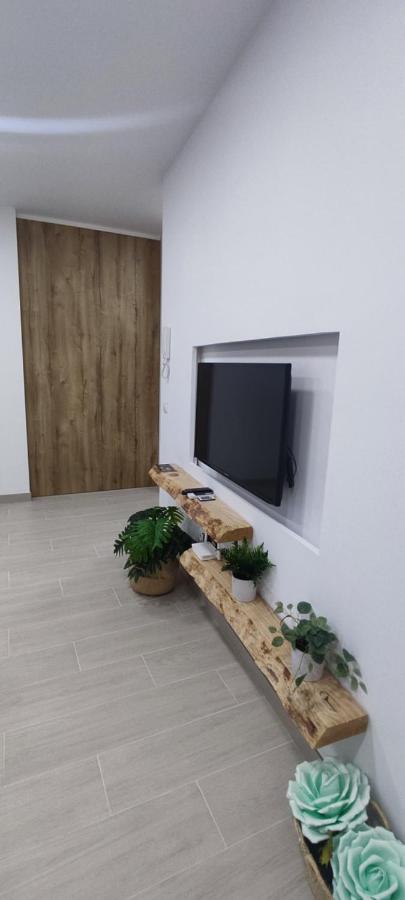 La Bella Daniela Malaga Centroアパートメント エクステリア 写真